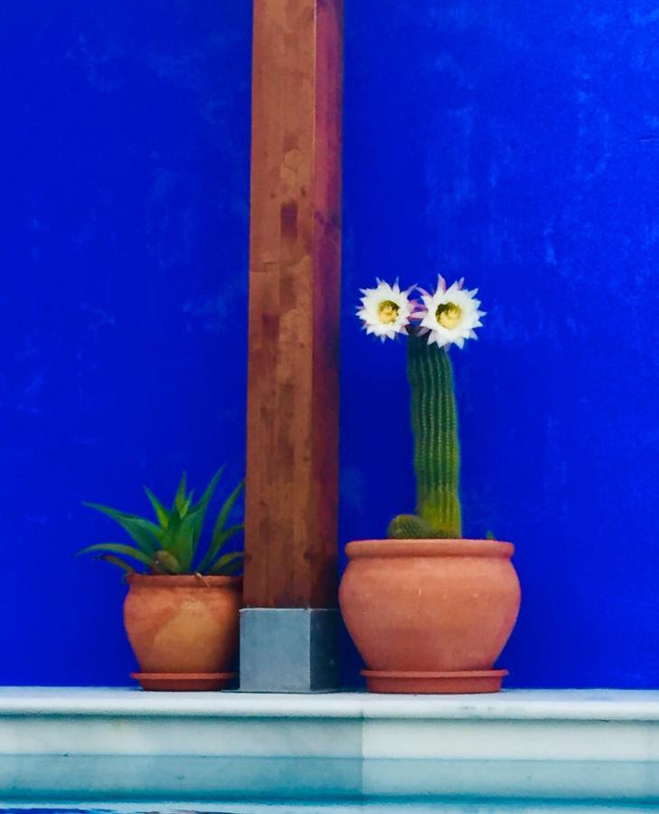 Bed & Breakfast Atelier 88 Alcalá la Real